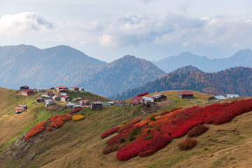 Plateau houses in Borcka mountains
