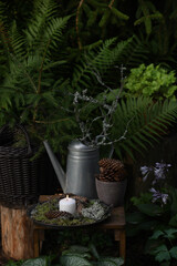 Wild shady forest garden decorations. Wooden table with candle, wild ferns growing around