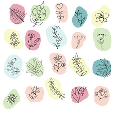 Design of herbs in Line art style. - 725326497