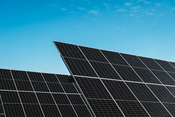 Naklejka premium solar panel array in photovoltaic solar park under blue sky, bright sunny day