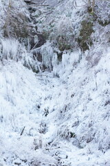 あしがくぼの氷柱