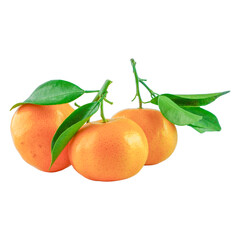 Ripe Orange Fruit with Leaves Branch Isolated