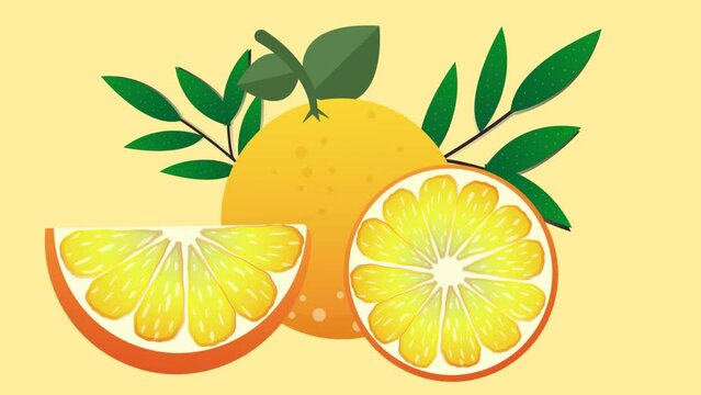 Cute animated orange fruit slices