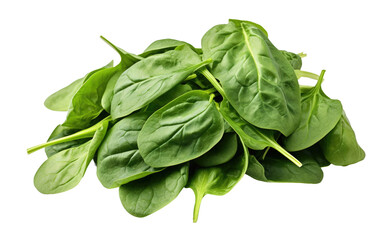 Pile of Fresh Spinach Leaves on Transparent Background