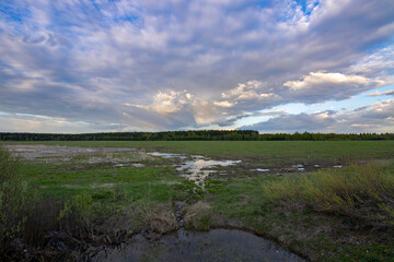 Landscape under the sunset sky, a swampy field, a spring field with puddles after a flood