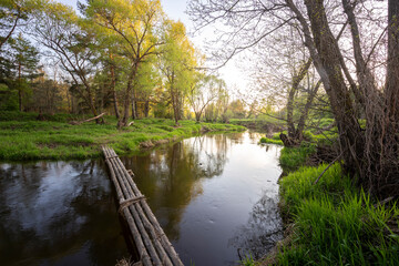 A bridge made of logs over a river, a spring landscape by the river with green grass and a log bridge.