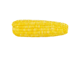 corn transparent png