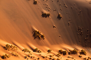 sand dune slope