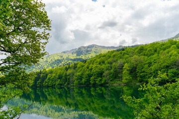 Fototapeta na wymiar National park Biogradska gora in Montenegro.