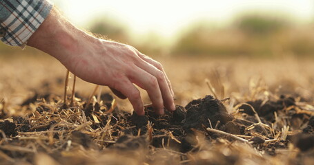 Side view: male hands touching soil on field. A close-up of a farmer holding the earth with his...