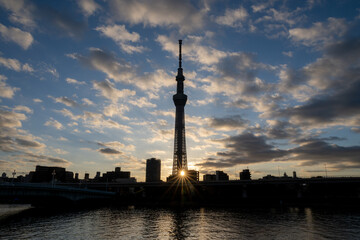朝陽に映える東京スカイツリー