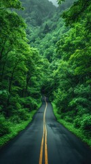 Fototapeta na wymiar beauty scene with road and green trees