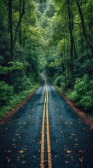 Fototapeta premium beauty scene with road and green trees