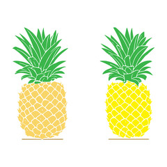 set of pineapple, beautiful  pineapple vector design