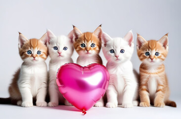 Group of Kitten cats with a pink heart shaped balloon on a blue color background. Banner, copy space for text. Gift for Valentine's Day. Funny Valentines animal, love, wedding. Greeting card, postcard