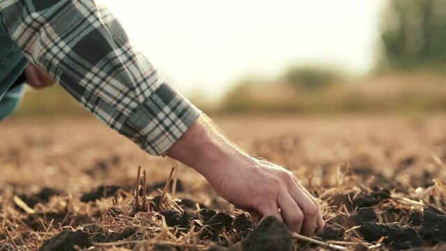 Side view: male hands touching soil on field. A close-up of a farmer holding the earth with his hands. The farmer checks the quality of the soil before planting.