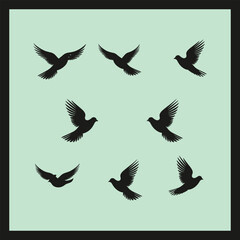 Dove bird silhouette set