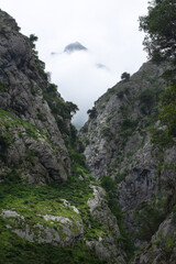 Misty Mountain Peaks Between Rugged Cliffs and Greenery in Picos de Europa National Park