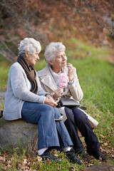 Fototapeta premium Elderly women, hungry and snack in park with candy floss, happy and together to relax on retirement in outdoor. Senior friends, smile and junk food on vacation in countryside and bonding in nature