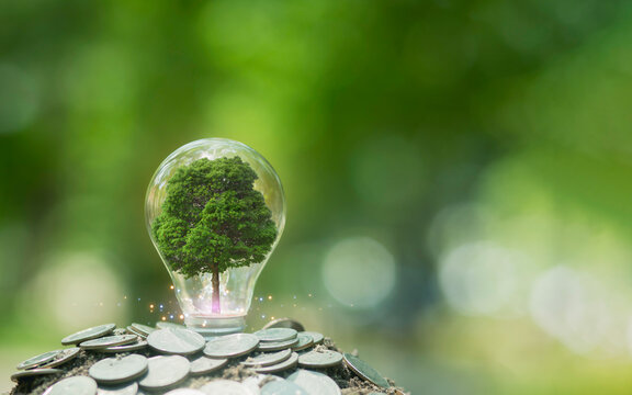 Green funding concept for green business, renewable energy generation is essential for the future, finance and investment, carbon credits and the environment.