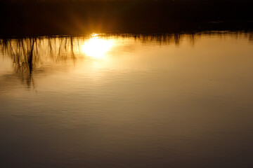 Reflection of the sun on the surface of a pond at sunset