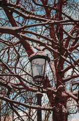 Fototapeta na wymiar A lantern in a public park
