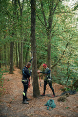 Fototapeta premium In the forest. Man and woman doing climbing with use of safety equipment