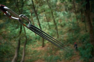 Climbing ropes are set in the green forest. Woman are far on the ground