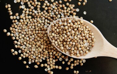 Coriander seeds on black background 