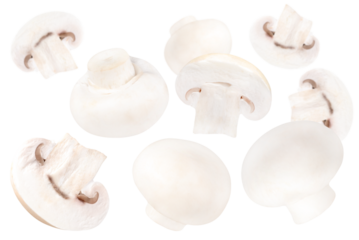 Levitation of a champignons isolated on a transparent background.