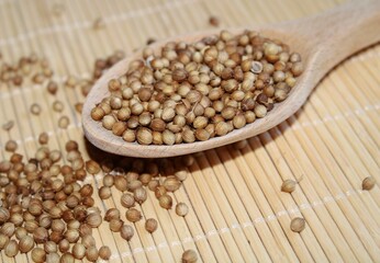 Coriander seeds in a spoon