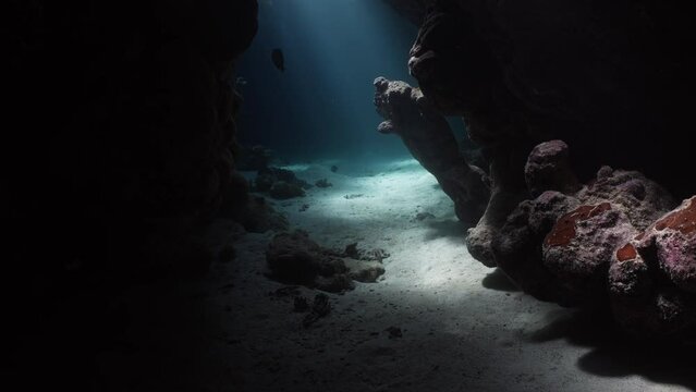 Explore Caves in the Saint John's Reef in the Red Sea in Egypt