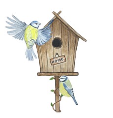 Birdhouse with tits, watercolor illustration © Diasha Art