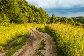 A dirt country road in the countryside running between overgrown fields and forests