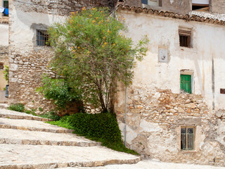 Tree next to facade of old house in Bocairente (Valencia, Spain) - 725380491