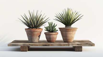 Three sparse plants in unique pots are sitting on top of a wooden table.