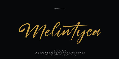 signature Font Calligraphy Logotype Script Brush Font Type Font lettering handwritten	
