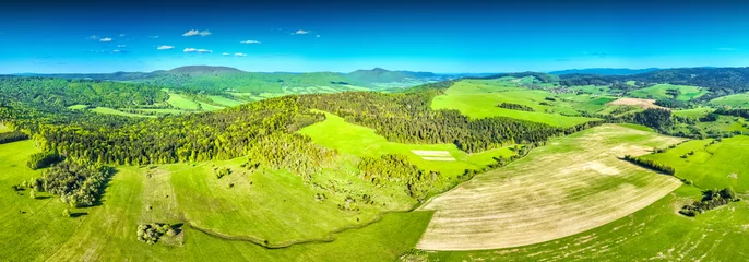 Photo sur Plexiglas Vert-citron Lot nad Tyliczem wiosną. Piękna, wiosenna panorama.