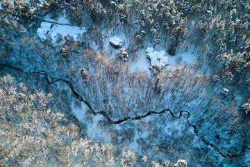 Winter landscape with two houses standing in the middle of a forest and a stream bed