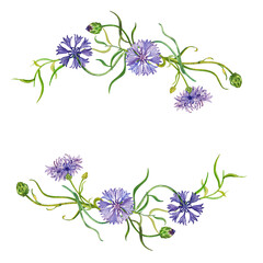 Watercolor illustration.Flowers. Delicate cornflowers, dahlias, irises. They go well together. Suitable for printing on fabric and cards.