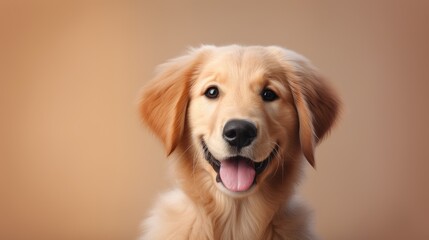 Obraz premium Radiant Golden Retriever Puppy Basking in Sunlight Portrait - Generative AI
