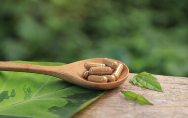 Healthy supplement from organic herb in capsules for health care eating with green nature background