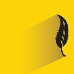 feather icon with shadow on yellow background