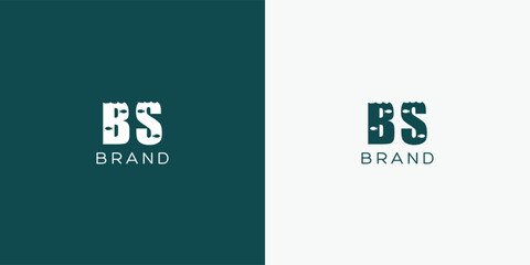 BS Vector Logo design