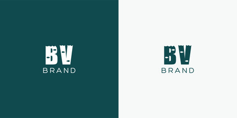 BV Vector Logo design