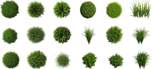 Set of top view of grass bushes isolated on white background. - obrazy, fototapety, plakaty