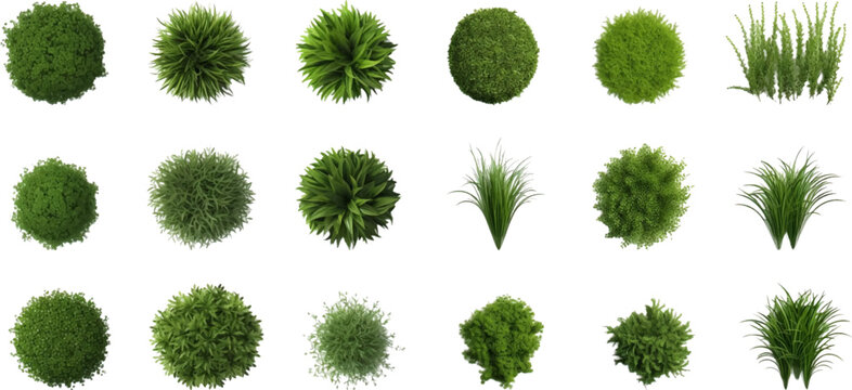 Set of top view of grass bushes isolated on white background.