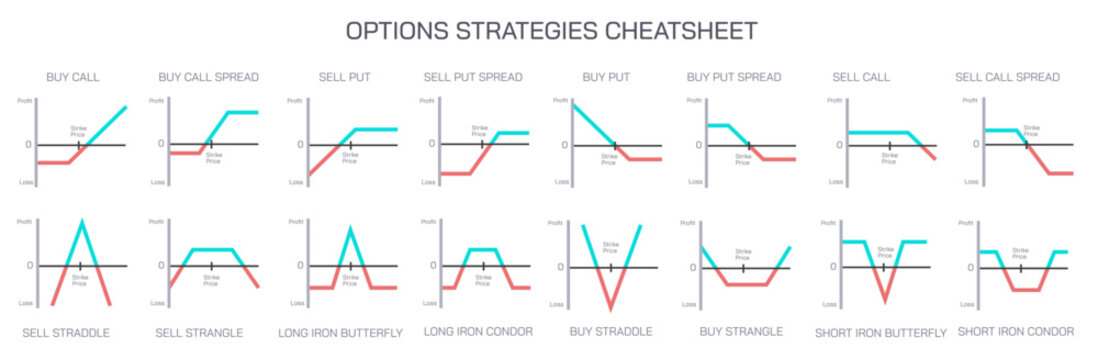 Stock market Investing and trading strategies infographics vector illustration. Types of options strategies. 