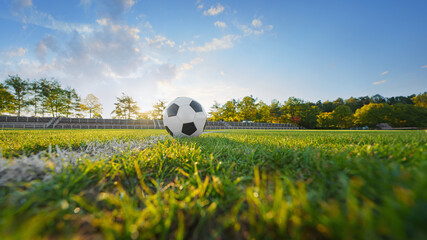 textured soccer game field with ball in front of the soccer goal - soccer ball on the line.