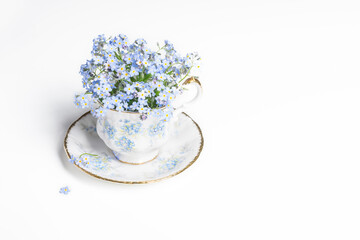 Obraz na płótnie Canvas Forget-me-not flowers in small vintage antique porcelain tea cup decorated with forget-me-not blossoms isolated on white background, fresh forget me nots, copy space